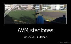 AVM stadionas - anksčiau ir dabar
