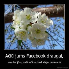 Ačiū jums Facebook draugai, - nes be jūsų nežinočiua, kad atėjo pavasaris