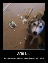 Ačiū tau - Kad verti mane mokytis ir neleidi švaistyti laiko veltui