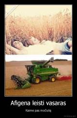 Afigena leisti vasaras - Kaime pas močiutę