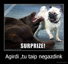 Agirdi ,tu taip negazdink - 