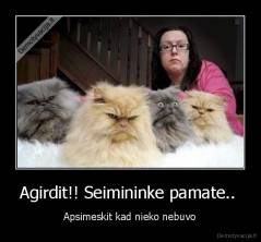 Agirdit!! Seimininke pamate..  - Apsimeskit kad nieko nebuvo