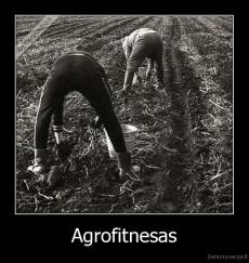 Agrofitnesas - 
