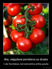 Aha, valgydavai pomidorus su druska - ir dar žliumbdavai, kad nubrozdintus pirštus graužia