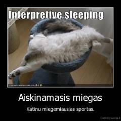 Aiskinamasis miegas - Katinu miegemiausias sportas.