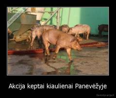 Akcija keptai kiaulienai Panevėžyje - 