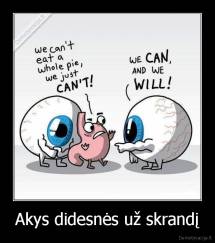 Akys didesnės už skrandį - 