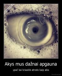 Akys mus dažnai apgauna - ypač kai kriauklė atrodo kaip akis
