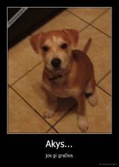 Akys... - jos gi gražios