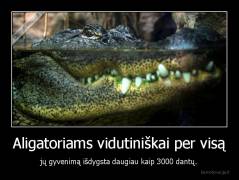 Aligatoriams vidutiniškai per visą - jų gyvenimą išdygsta daugiau kaip 3000 dantų.