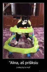 "Alina, aš prišiksiu - į viską ką tu myli"