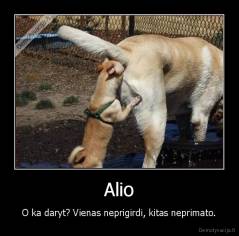 Alio - O ka daryt? Vienas neprigirdi, kitas neprimato.