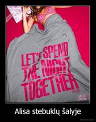 Alisa stebuklų šalyje - 