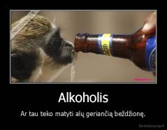 Alkoholis - Ar tau teko matyti alų geriančią beždžionę.