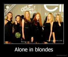 Alone in blondes - 