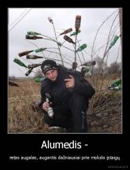 Alumedis - - retas augalas, augantis dažniausiai prie mokslo įstaigų