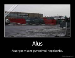 Alus - Atsargos visam gyvenimui nepakenktu