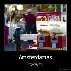 Amsterdamas - Svajonių šaliu