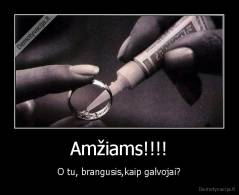 Amžiams!!!! - O tu, brangusis,kaip galvojai?