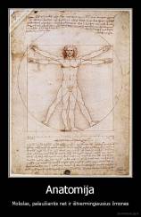 Anatomija - Mokslas, palaužiantis net ir ištvermingiausius žmones