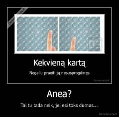 Anea? - Tai tu tada neik, jei esi toks durnas...