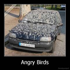 Angry Birds - 