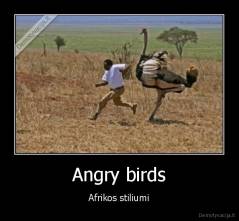 Angry birds - Afrikos stiliumi