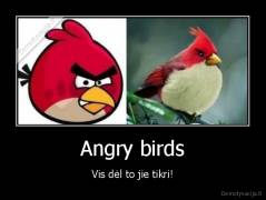 Angry birds - Vis dėl to jie tikri!