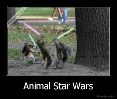 Animal Star Wars - 