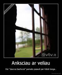 Anksciau ar veliau - Visi "ziaurus bachurai" pamato pasauli per kitoki langa..