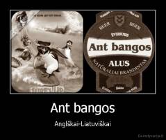 Ant bangos - Anglškai-Liatuviškai
