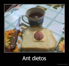 Ant dietos - 