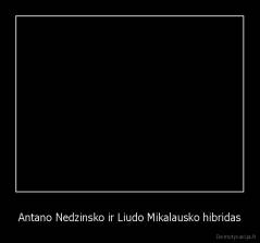 Antano Nedzinsko ir Liudo Mikalausko hibridas - 