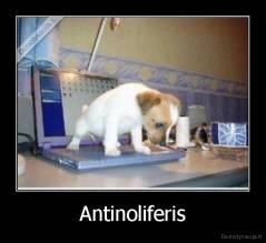 Antinoliferis - 