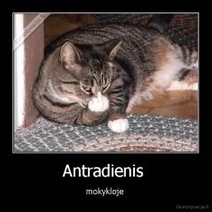 Antradienis  - mokykloje 