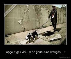Apgaut gali visi-Tik ne geriausias draugas :D - 