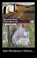 Apie išbyrėjusius riešutus... -  