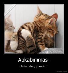 Apkabinimas- - Jis turi daug prasmiu..