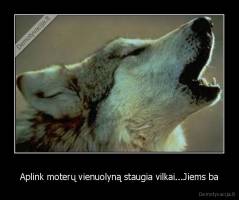 Aplink moterų vienuolyną staugia vilkai...Jiems ba - 