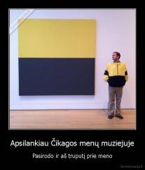 Apsilankiau Čikagos menų muziejuje - Pasirodo ir aš truputį prie meno