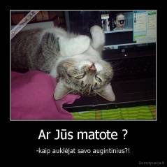 Ar Jūs matote ? - -kaip auklėjat savo augintinius?!