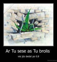 Ar Tu sese as Tu brolis  - visi jūs dedat po 0.8