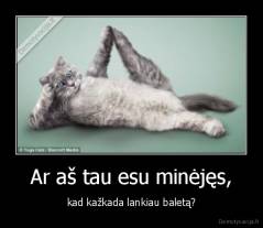 Ar aš tau esu minėjęs, - kad kažkada lankiau baletą?