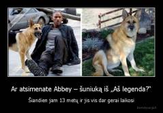 Ar atsimenate Abbey – šuniuką iš „Aš legenda?“ - Šiandien jam 13 metų ir jis vis dar gerai laikosi