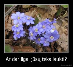 Ar dar ilgai jūsų teks laukti? - 