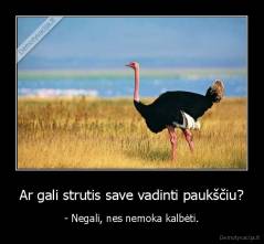 Ar gali strutis save vadinti paukščiu? - - Negali, nes nemoka kalbėti.