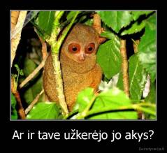 Ar ir tave užkerėjo jo akys? - 