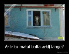 Ar ir tu matai balta arklį lange? - 