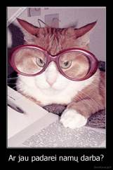 Ar jau padarei namų darba? - 