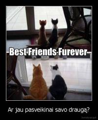 Ar jau pasveikinai savo draugą? - 